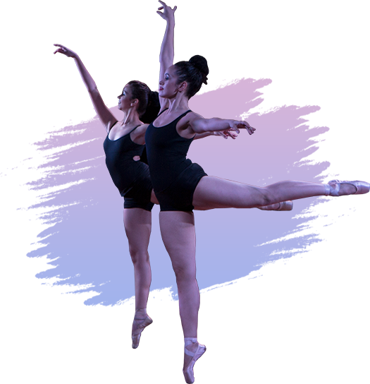 Online Ballet Dance Classes in Mumbai The Dance Worx